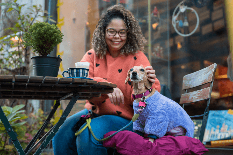Locais pet friendly: Como escolher com consciência e preparar seu cão para uma experiência segura?