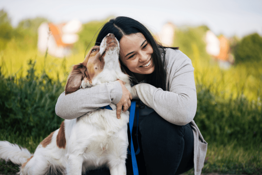 Comunicação canina: O que seu cão está tentando dizer com o comportamento?
