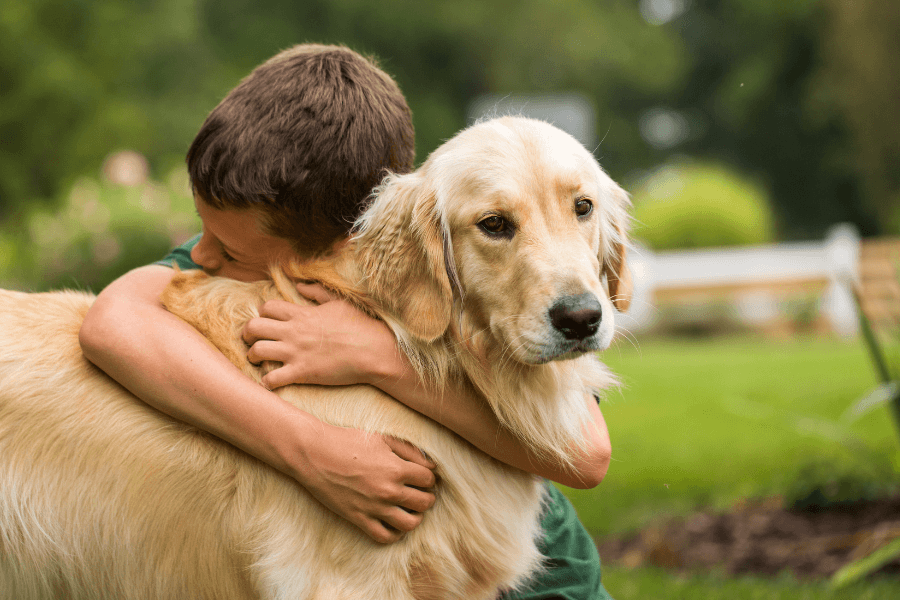 Crianças e cães: Convivência segura começa com os adultos